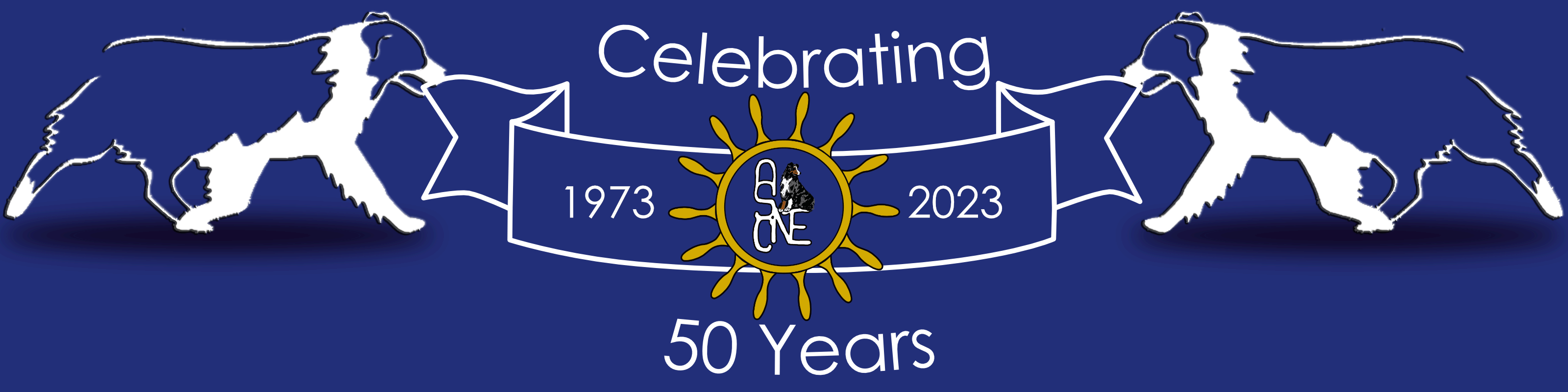 ASCNE Logo and Home